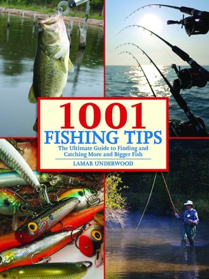 cover image of 1001 Fishing Tips